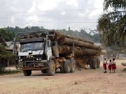 Logging